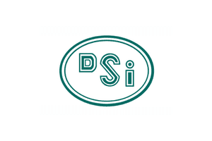 Dsi referansı